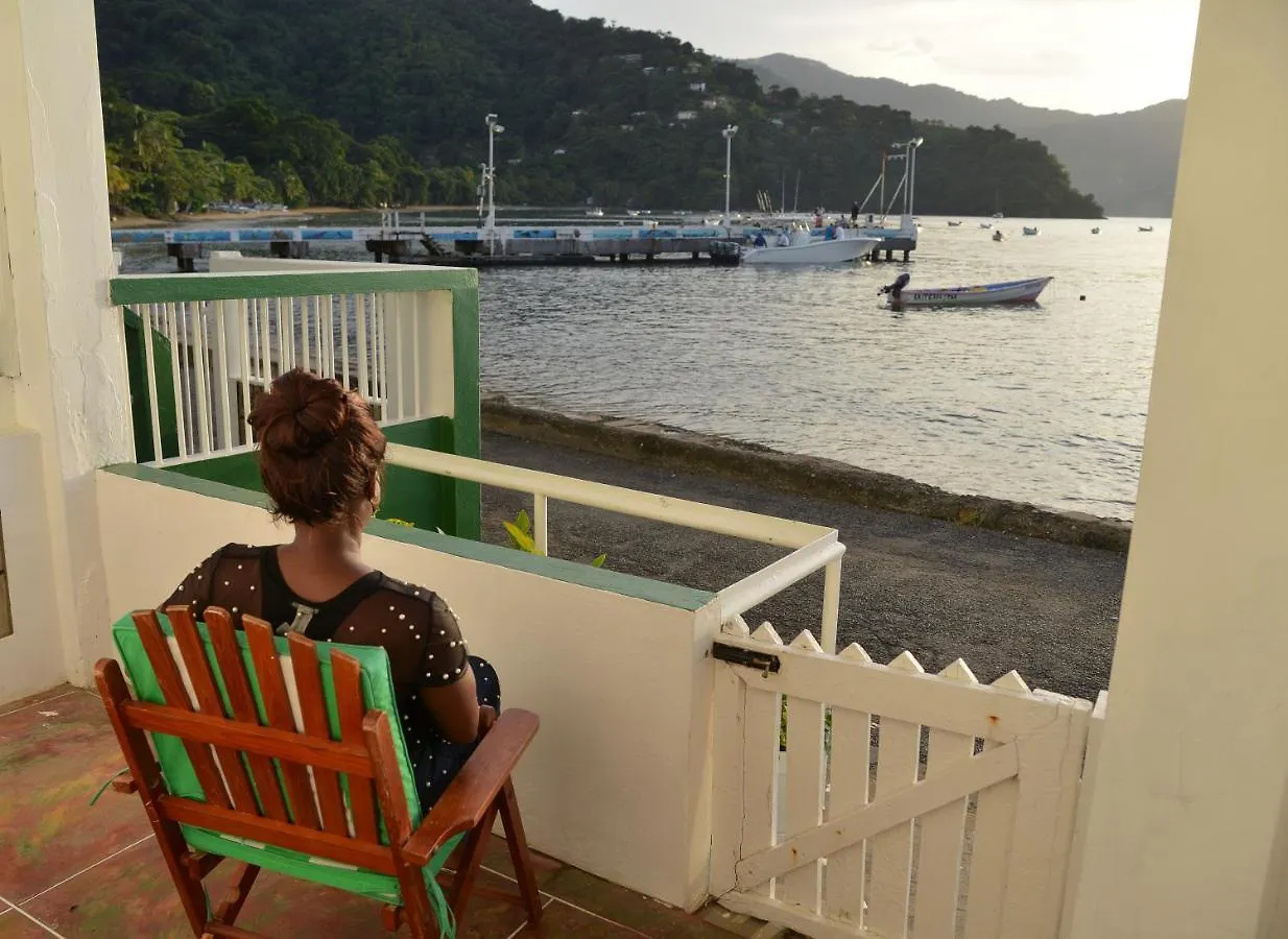 Cholson Chalets Charlotteville 0*,